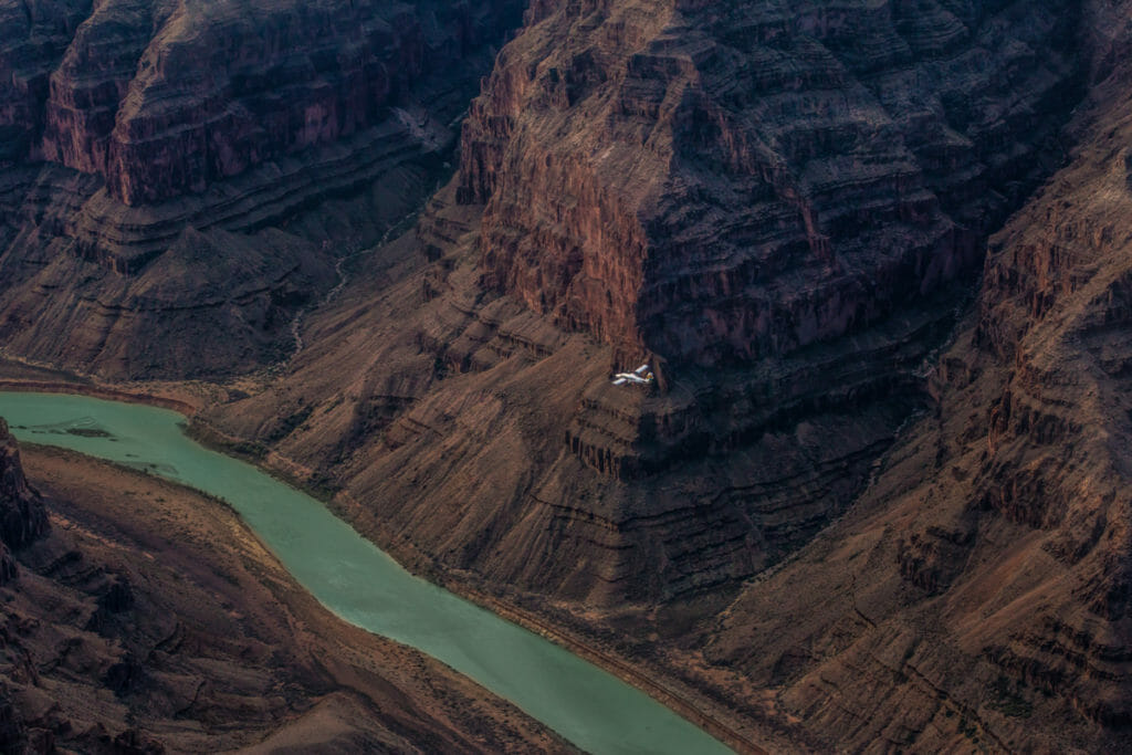 Grand Canyon Scenic Airlines Aero Crew News